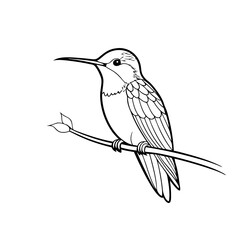 anna-s-hummingbird-sitting