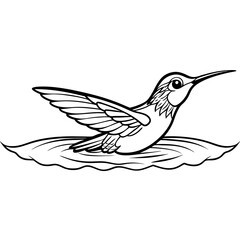 Fototapeta premium anna-s-hummingbird-swimming