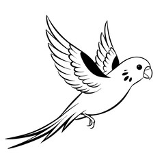australian-budgerigar-jumping