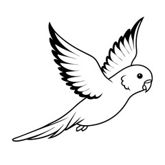 Obraz premium australian-budgerigar-flying