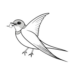 barn-swallow-eating