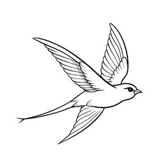 barn-swallow-flying