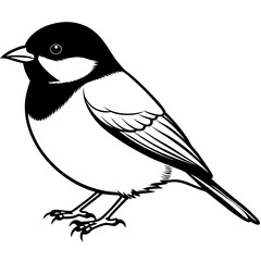 black-capped-chickadee-standing vector illustration of a bird