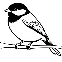 black-capped-chickadee-sitting vector