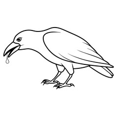 Obraz premium black-crow-eating