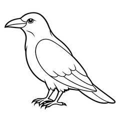 Obraz premium black-crow-sitting