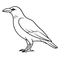 black-crow vector line art