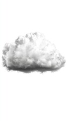 A fluffy white cloud against a plain background.