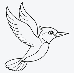 Art & Illustration woodpecker-bird flying line art
