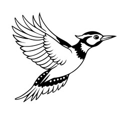 woodpecker-bird-flying line art