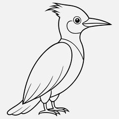 Woodpecker-bird-standing line art