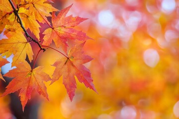 Fallen Leaves Season Background created with Generative AI