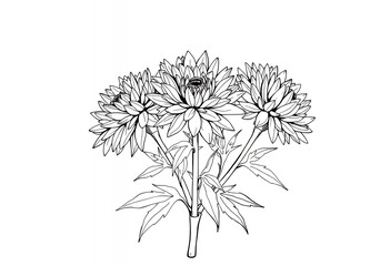 Obraz premium Black and White Line Drawing of a Bouquet of Flowers