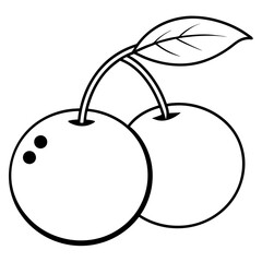 vector illustration of chokecherry fruit 