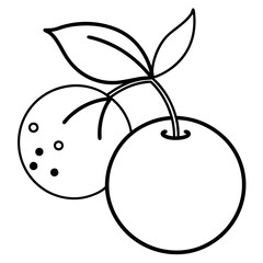 vector illustration of chokeberry fruit 
