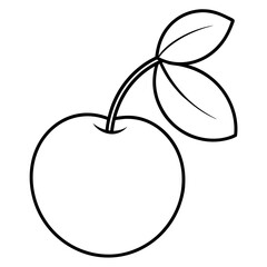 vector illustration of chokecherry fruit 