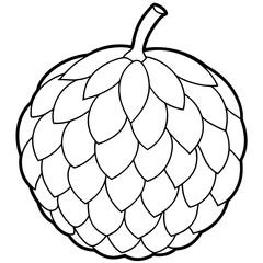 vector illustration of a custard-apple fruit  line art