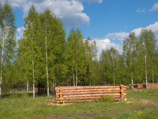 log construction site in spring