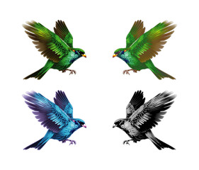 Fototapeta premium Birds Photo 4 Color Combnishion