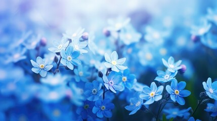 me blue spring flowers