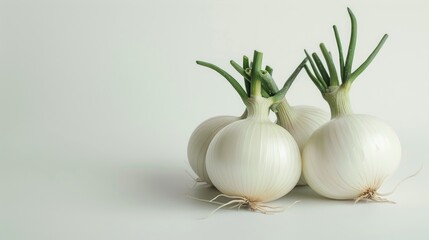 Fresh White Onions with Green Sprouts