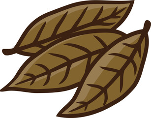 handdrawn bay leaf illustration