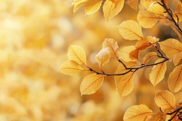 Fototapeta premium Fallen Leaves Season Background created with Generative AI