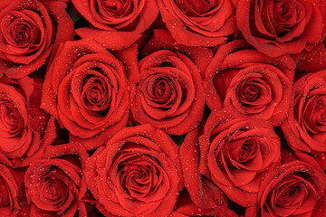 Top View of Red Roses Bouquet. Festive Pattern Background