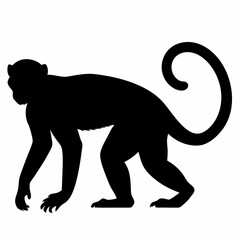 Obraz premium monkey-silhouette-vector-white-background