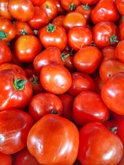 fresh tomato collection