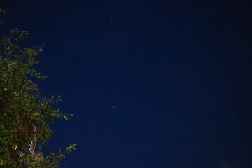 Fototapeta premium Northern Hemisphere Night Sky Photography