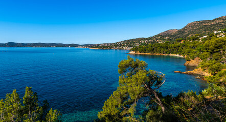 Fototapeta premium Landscape of the Var coast, near Saint Tropez, in the Var, in Provence, France