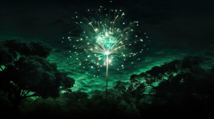 Fototapeta premium explosion green firework
