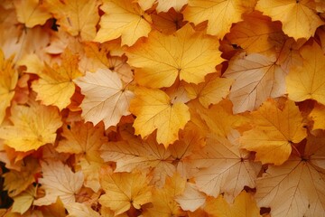 Fototapeta premium Fallen Leaves Season Background created with Generative AI