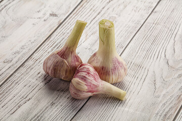 Young garlic heap for cooking