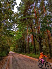 Fototapeta premium A teenage girl rides a bicycle in a pine forest along a dirt road. Autumn. It's afternoon.