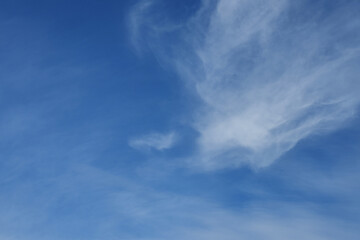秋の空と柔らかな雲
