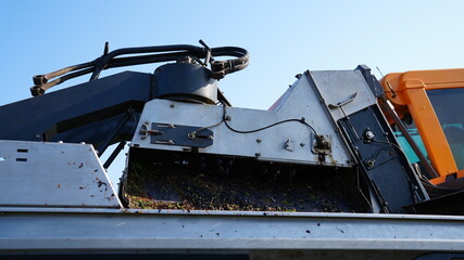 COLLECTION TANKS OF A GRAPE HARVESTER WHILE HARVESTING