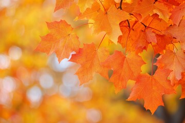 Fototapeta premium Fallen Leaves Season Background created with Generative AI