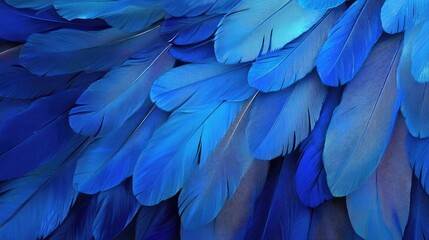 Obraz premium Close-up of vibrant blue feathers. Use this image for nature, beauty, and artistic designs.