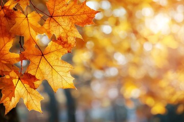 Fototapeta premium Fallen Leaves Season Background created with Generative AI