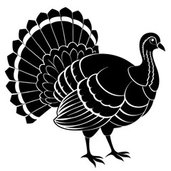 Turkey Chicken Vector Illustration on White Background Realistic and Detailed Design