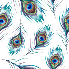 Obraz premium Peacock feathers. Seamless pattern. The illustration is hand-drawn, executed in watercolor. A beautiful bright multicolored Phoenix bird feather on a white background. Asian, Indian ornament