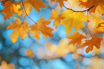 Fallen Leaves Season Background created with Generative AI