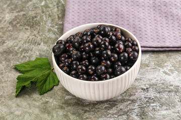 Ripe black currant in the bowl