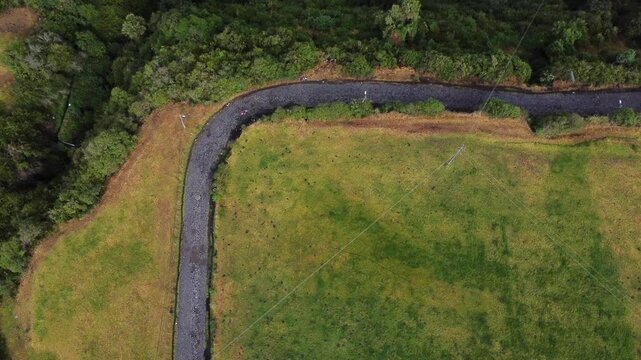 Aerial overhead perspective of a person riding a bicycle ina winding road cutting through vibrant green fields, bordered by dense trees, showcasing the beauty and natural landscape of the countryside