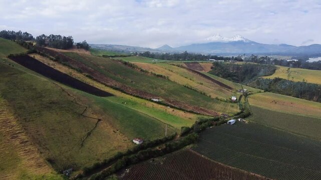 Aerial showcasing lush, rolling hills with patchwork of cultivated fields, majestic snow capped Illinizas Volcano the background in romerillo sector, Machachi parish, Mejia canton, Pichincha, Ecuador