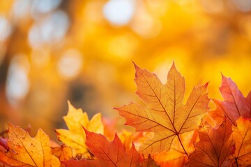 Fototapeta premium Fallen Leaves Season Background created with Generative AI