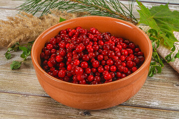 Natural organic wild forwst lingonberry
