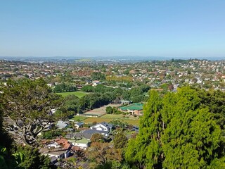 A residential street in Auckland, New Zealand in summer